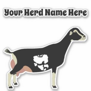 Personalized LaMancha Dairy Goat