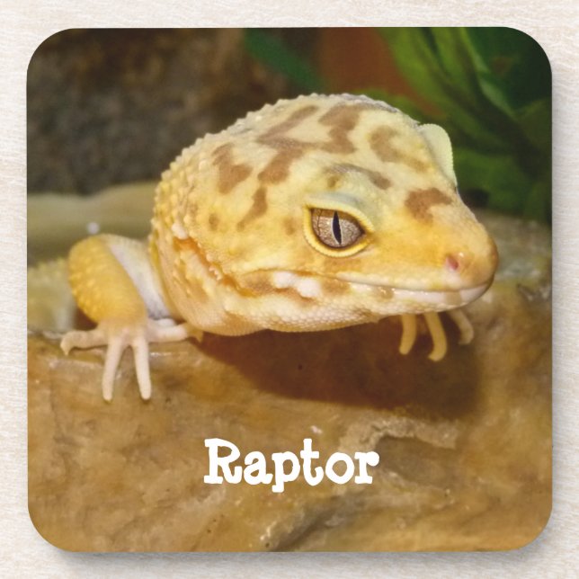 Personalized Leopard Gecko Lizard Coaster (Front)