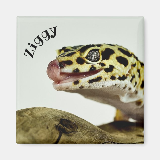 Personalized Leopard Gecko Lizard Magnet (Front)