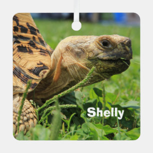 Personalized Leopard Tortoise in the grass Metal Ornament
