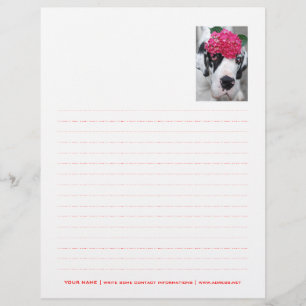Personalized Letterhead Dotted