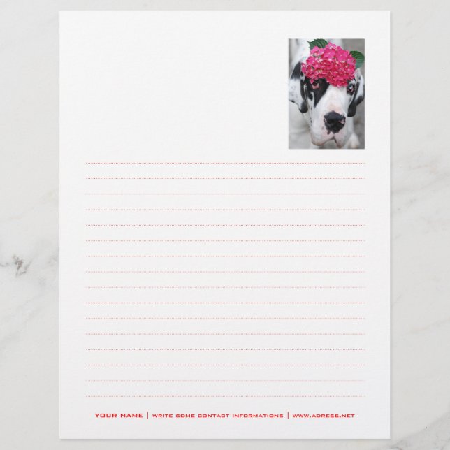 Personalized Letterhead Dotted (Front)