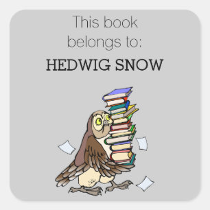 Personalized Library Cute Owl Bookplate Square Sticker