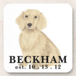 Personalized Long Haired Cream Dachshund Coaster<br><div class="desc">I am in love with this beautifully detailed watercolor illustration of a long haired cream english dachshund dog! Personalize these with your name or monogram and even and change the background colour to compliment your decor! Shop the rest of my collection for the sweetest housewarming, bridal shower, teacher, mother-in-law, husband,...</div>