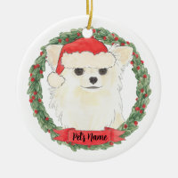 Personalized Long Haired White Cream Chihuahua