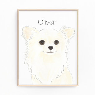 Personalized Long Haired White Cream Chihuahua  Photo Print