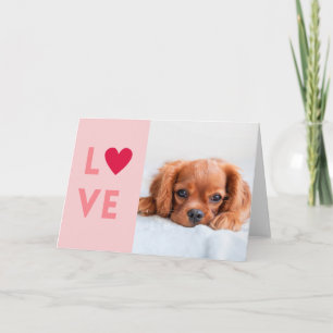 Personalized Love Letter from Dog Holiday Card