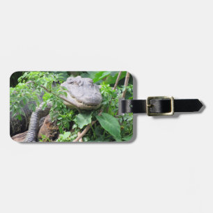 Personalized Luggage Tag - Comfy Gator