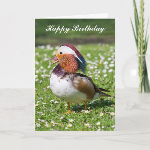 Personalized Mandarin Duck Birthday Card. Card