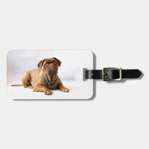 Personalized Mastiff / Dog Photo Luggage Tag