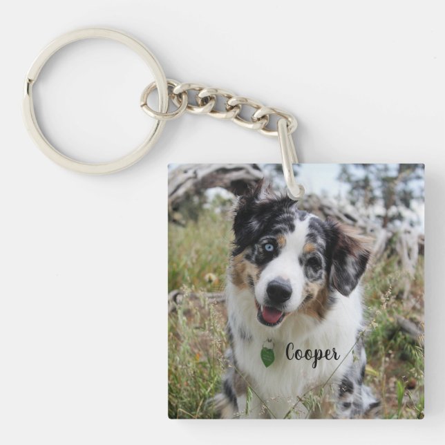Personalized Merle Australian Shepherd Puppy Keychain (Front)