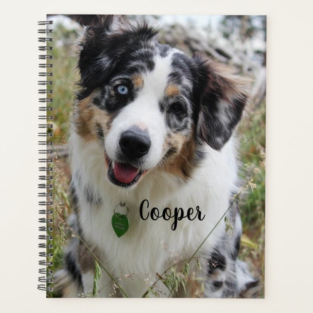 Personalized Merle Australian Shepherd Puppy Planner (Front)