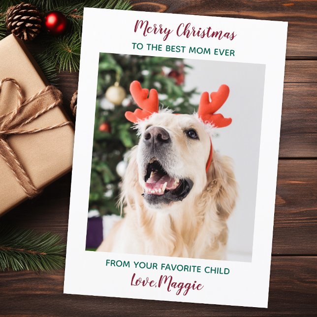 Personalized Merry Christmas Dog Mom Pet Photo Hol Holiday Card (Creator Uploaded)