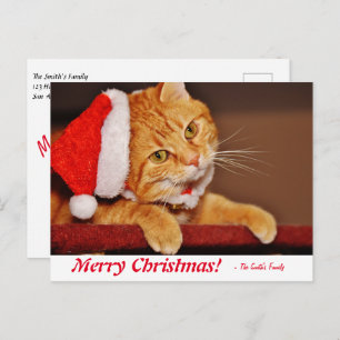 Personalized Merry Christmas Orange Tabby Cat Post Postcard
