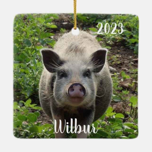 Personalized Mini Juliana Pet Pig  #2 Ceramic Ornament (Back)