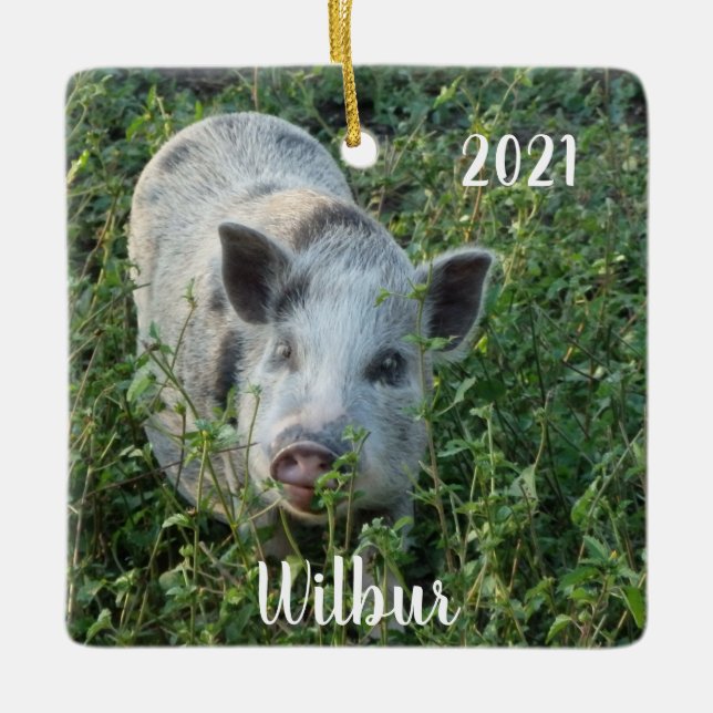Personalized Mini Juliana Pet Pig  Ceramic Ornament (Front)