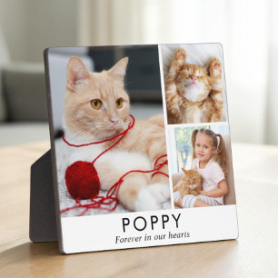 Personalized Minimalist Cat Memorial Photo Plaque