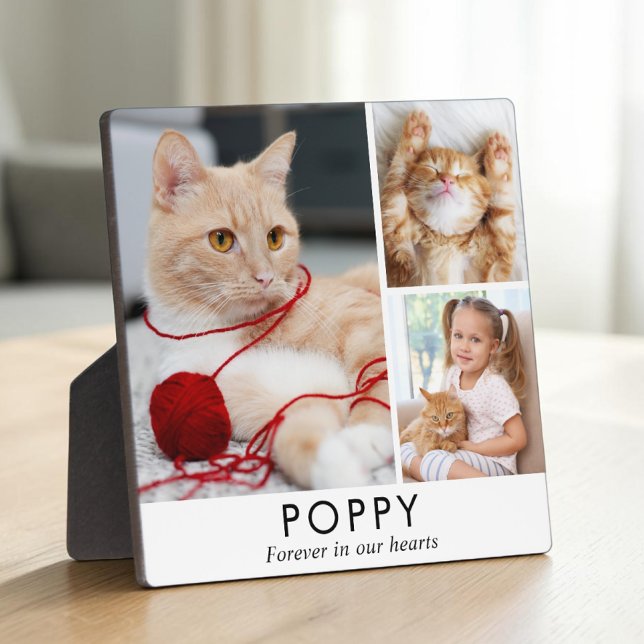 Personalized Minimalist Cat Memorial Photo Plaque (Personalized Minimalist Cat Memorial Photo Plaque
)