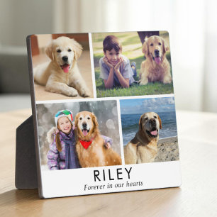 Personalized Minimalist Dog Memorial Photo Plaque