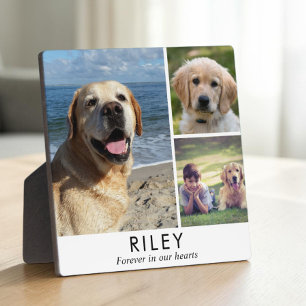 Personalized Minimalist Dog Memorial Photo Plaque