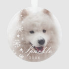 Personalized Modern Pet Photo with Snowflakes 