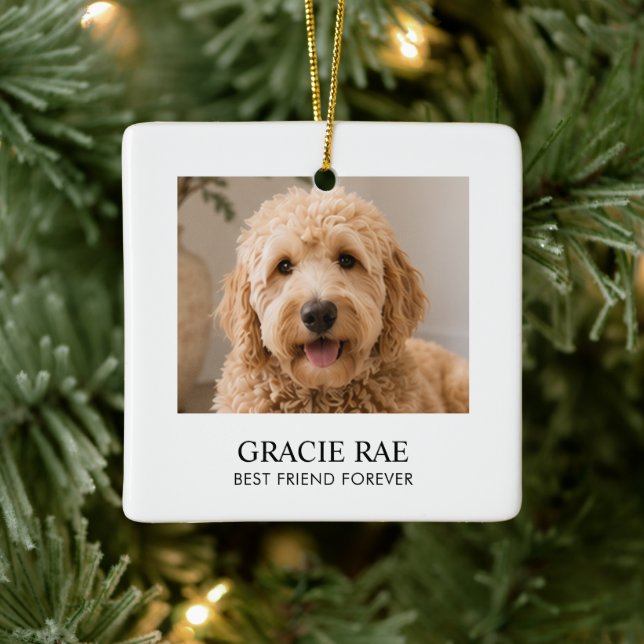 Personalized Modern Simple Pet Photo Ceramic Ornament (Tree)