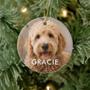 Personalized Modern Simple Pet Photo Ceramic Ornament