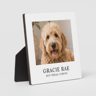 Personalized Modern Simple Pet Photo Plaque