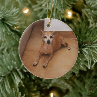 Personalized Name And Photo Pet Memorial Ceramic Ornament