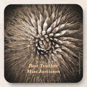 Personalized Name Best Teacher Agave Sepia Coaster