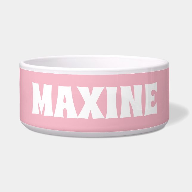 Personalized Name Blueish Teal  and White Dog Bowl (Front)
