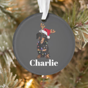 Personalized Name Christmas Dachshund Dog Lights Ornament