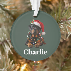 Personalized Name Custom Rottweiler Dog Christmas  Ornament