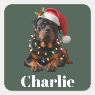 Personalized Name Custom Rottweiler Dog Christmas Square Sticker