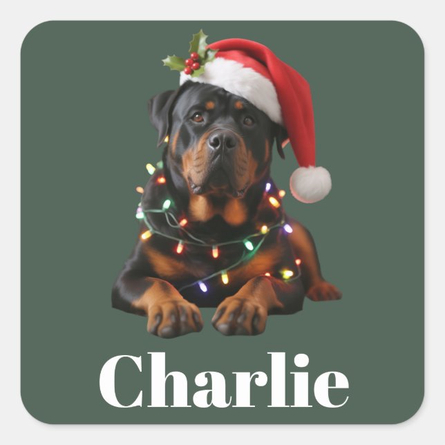 Personalized Name Custom Rottweiler Dog Christmas  Square Sticker (Front)