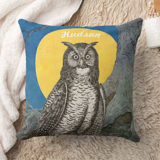 Personalized New Baby Boy's Room Cute Owl Throw Pillow (Blanket)