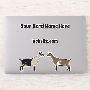 Personalized Nigerian Dwarf Dairy Goat