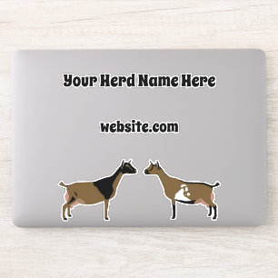 Personalized Nigerian Dwarf Dairy Goat