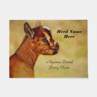 Personalized Nigerian Dwarf Dairy Goat Kid