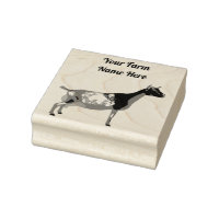 Personalized Nigerian Dwarf Dairy Goat