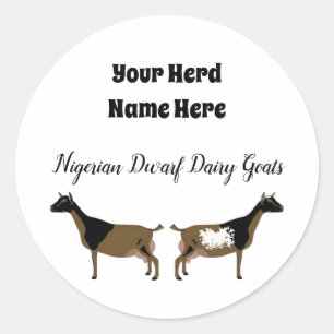 Personalized Nigerian Dwarf Dairy Goat Sticker