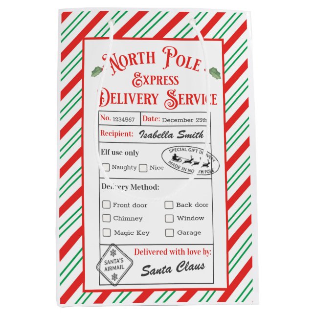 Personalized North Pole Special Delivery Santa Medium Gift Bag (Front)