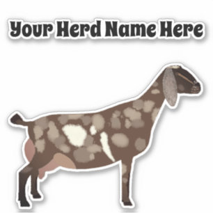 Personalized Nubian Dairy Goat