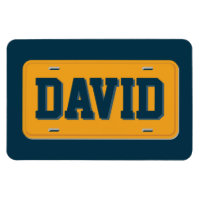 Personalized Orange and Navy Blue License Plate