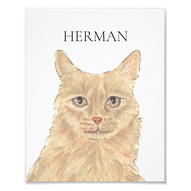 Personalized Orange Maine Coon Art Photo Print (Front)