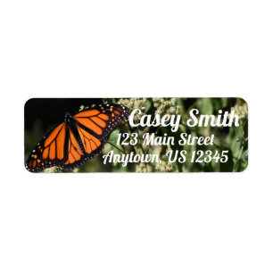 Personalized Orange Monarch Butterfly Nature Photo