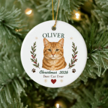 Personalized Orange Tabby Cat Christmas