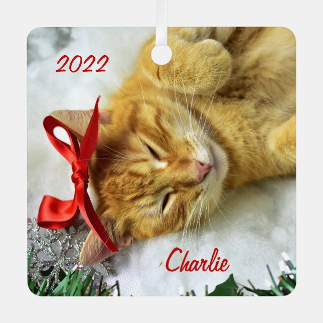 Personalized Orange Tabby Cat Christmas Metal Ornament (Front)