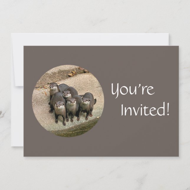 Personalized Otters Day at the Zoo Birthday Party Invitation (Front)
