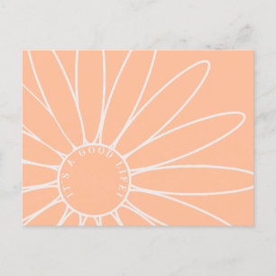 Personalized Peach Fuzz Daisy Flower Postcard